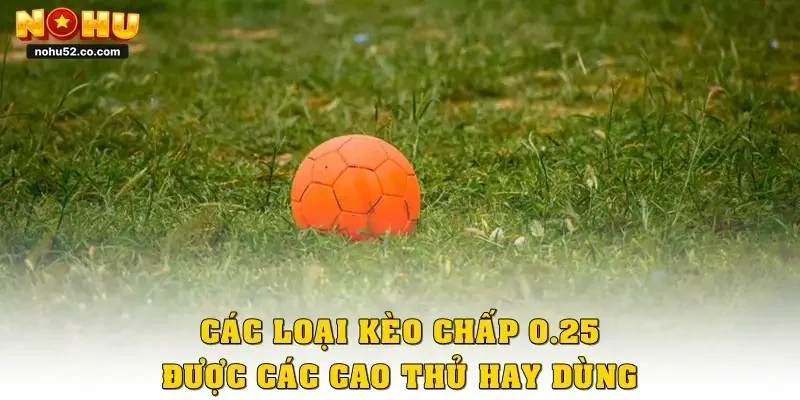 Các loại kèo chấp 0.25 là gì mà được các cao thủ hay dùng?