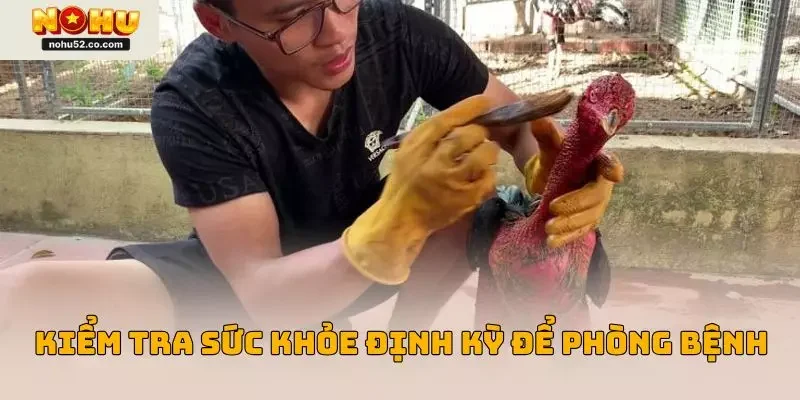 Thường xuyên kiểm tra sức khỏe định kỳ để phòng bệnh