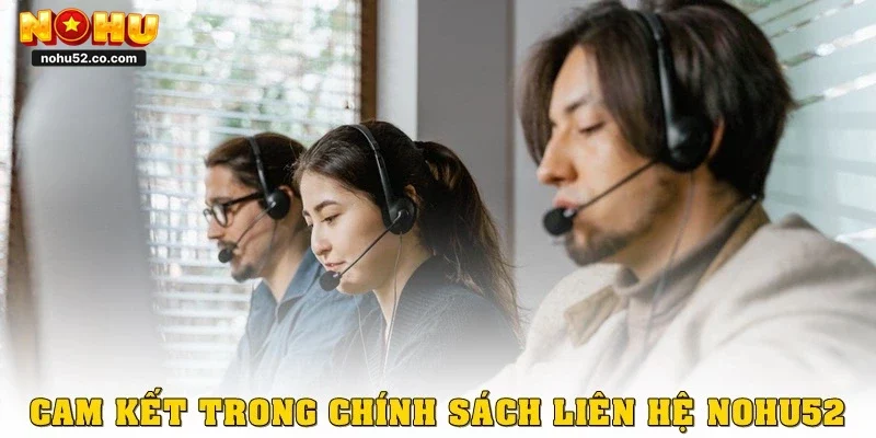 Cam kết trong chính sách liên hệ Nohu52